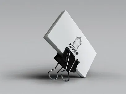 Image de ActarusProd - Graphiste Freelance