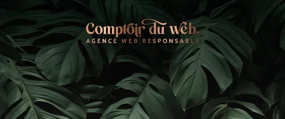 Image de Agence de communication Nice 06 | Comptoir du Web