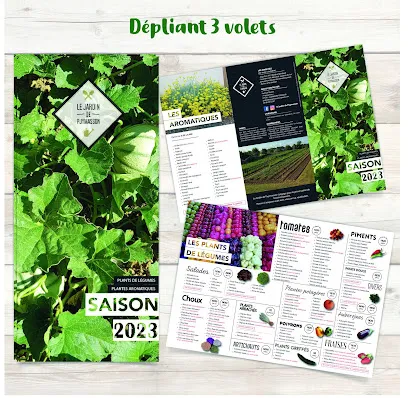Image de Agence IMPRINTA ✨ Graphiste Agen 47 | Communication Impression | Création Logo, Cartes de visites, Affiches, Flyers, Design