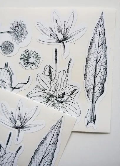 Image de Atelier la mallette - graphisme & co