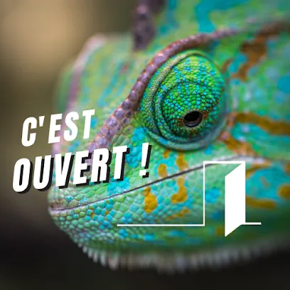 Image de C'est ouvert ! Faites le savoir