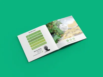 Image de Clothilde Mear | Designer graphique freelance