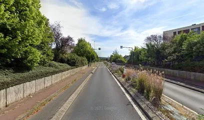 Image de dans la noix de poucette