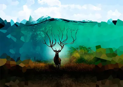 Image de DODECACOM Communication Papier | Vidéo | Web | Elearning | Digital publishing
