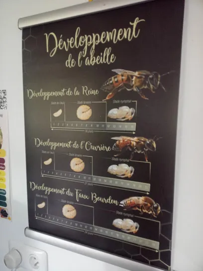 Image de Drawgon Création