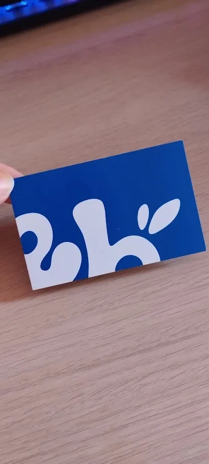 Image de Emilia Boutrouille - Graphiste - Logos - Réseaux sociaux - UX UI