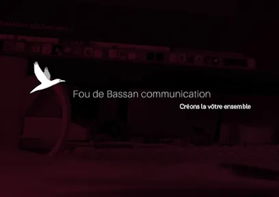 Image de Fou de Bassan communication
