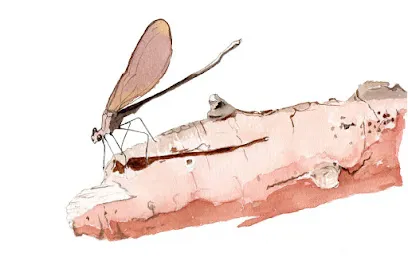Image de Grand'Air Illustration