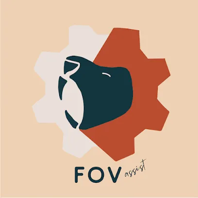Image de Graphisme, illustration multisupports, création de logo, charte graphique et site vitrine Fovassist