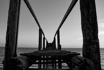 Image de Immage marion