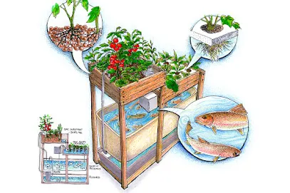 Image de Kizae Design