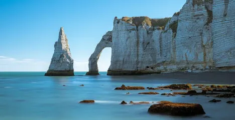 Image de L'arborescence