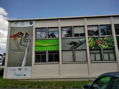 Image de L'ATELIER LECHAT