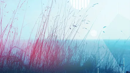 Image de Laureline Guernion - Graphiste Freelance