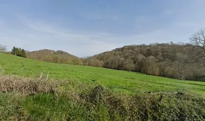 Image de Le Crayon à Plumes