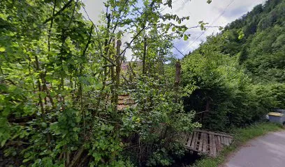 Image de Le Pinceau des Bois