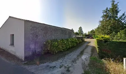 Image de Les Impératrices du Web