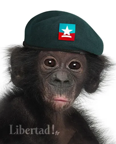 Image de Libertad!