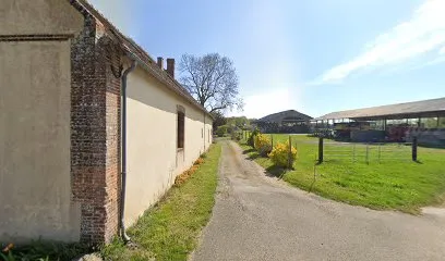 Image de Linéa Pica