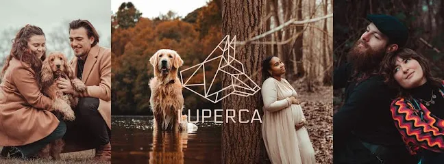 Image de Luperca Graphiste Photographe Amiens