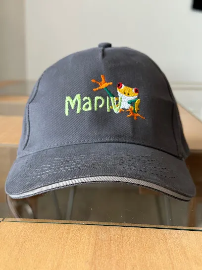 Image de Mapiv