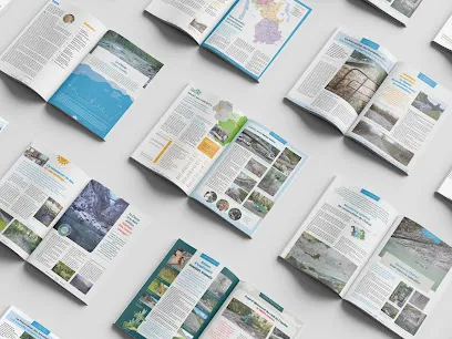 Image de Marion Pannier – Graphiste : logo, flyer, livre, site internet...