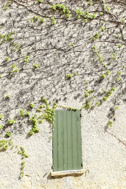 Image de Markize
