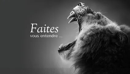 Image de mc-media.com - Agence web & Communication - Création site internet
