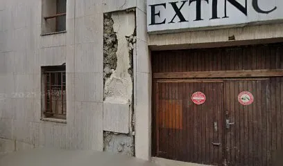 Image de musoreille fr