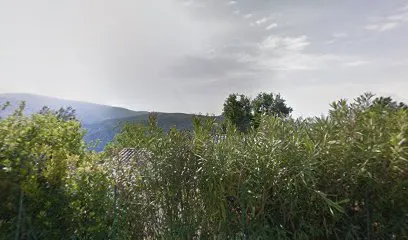Image de Nadège MAZIERS - NM