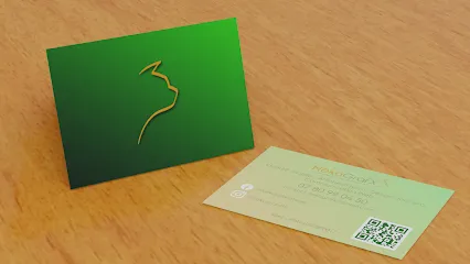 Image de NEKOGRAFX Steewe Meslier Graphiste Designer