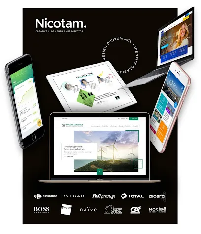 Image de Nicotam - Nicolas Tamisier