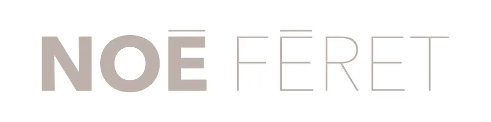Image de Noé Féret - Illustration et graphisme