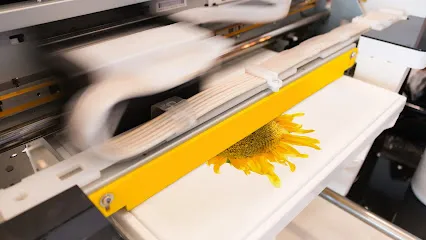 Image de Pop Art Design - Impression Textile et Broderie
