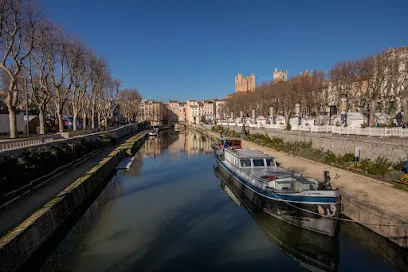 Image de Simon web