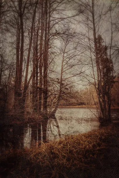 Image de Sophie K. | Photographe | Graphiste