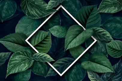 Image de Stéphanie Philippe Directrice Artistique / Graphiste Freelance engagée