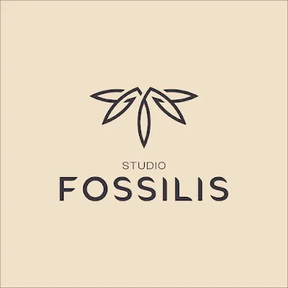 Image de Studio Fossilis